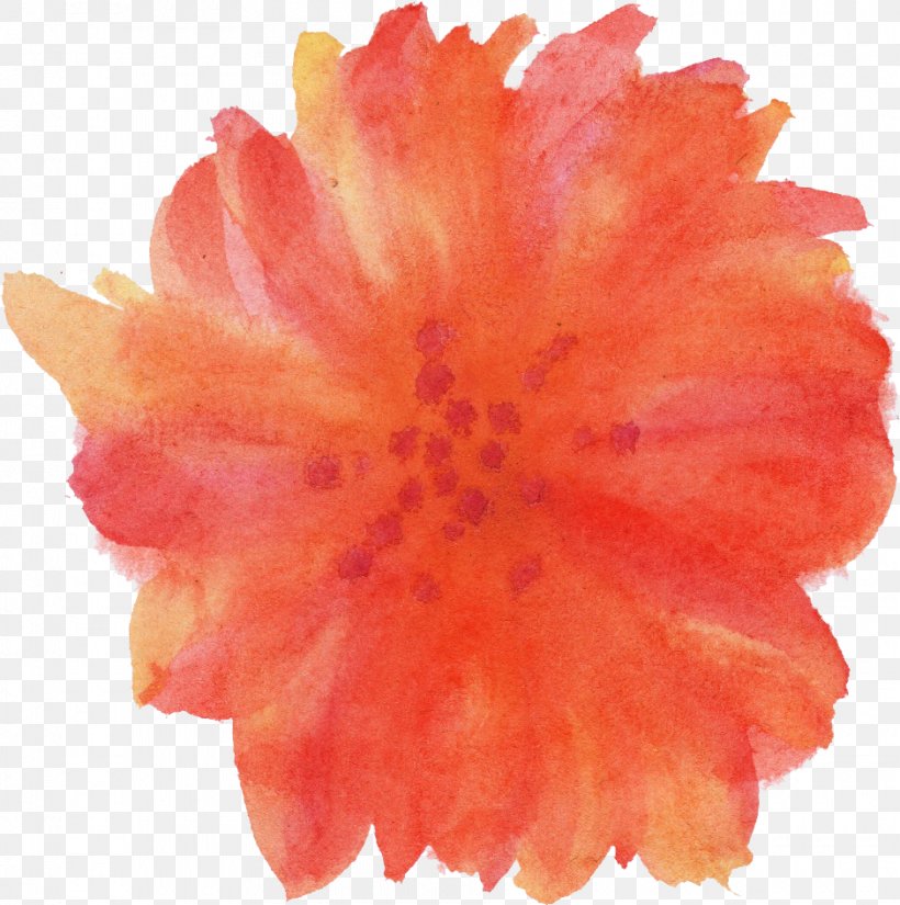 Transparent Watercolor Flower Watercolor Painting, PNG, 940x946px, Transparent Watercolor, Color, Floral Design, Flower, Orange Download Free