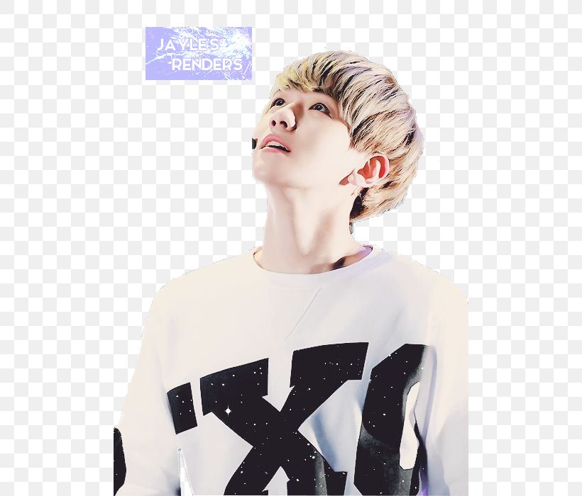 Baekhyun EXO K-pop Image Musician, PNG, 500x700px, Baekhyun, Bts, Chanyeol, Chin, Cool Download Free