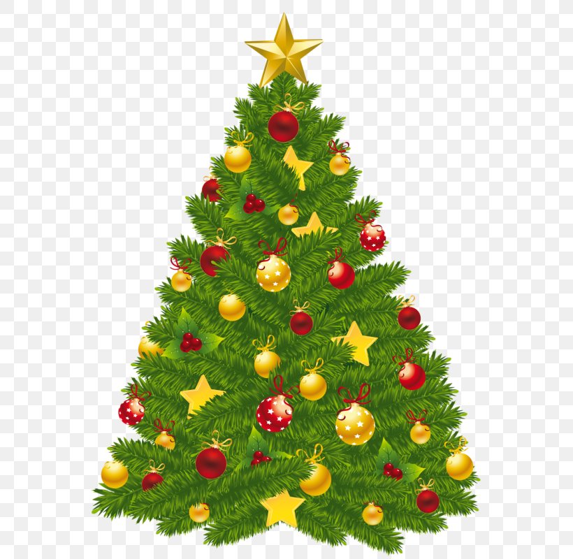 Christmas Tree Christmas Ornament Clip Art, PNG, 572x800px, Christmas ...