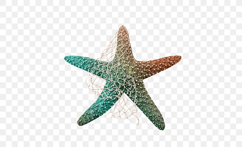 Starfish Sea Echinoderm Clip Art, PNG, 500x500px, Starfish, Animal, Echinoderm, Invertebrate, Marine Invertebrates Download Free