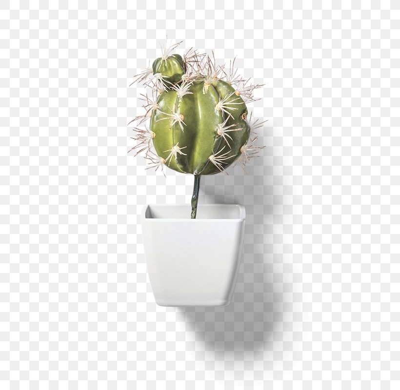 Cactaceae Flowerpot Clip Art, PNG, 800x800px, Cactaceae, Cartoon, Flowerpot, Ink, Material Download Free