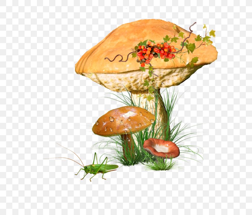 Edible Mushroom Fungus Clip Art, PNG, 700x700px, Edible Mushroom, Albom, Blog, Computer Animation, Food Download Free