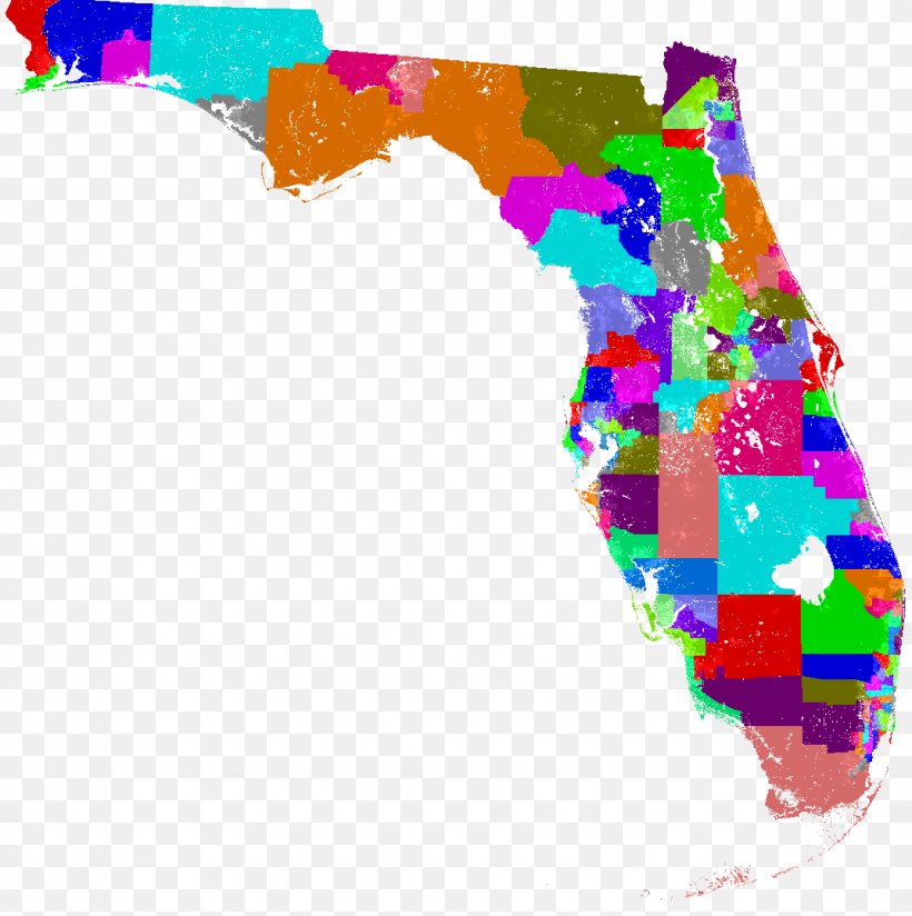 Florida House Of Representatives Florida Statutes Florida Legislature State Legislature, PNG, 1074x1080px, Florida, Area, Congressional District, Democratic Party, Florida House Of Representatives Download Free