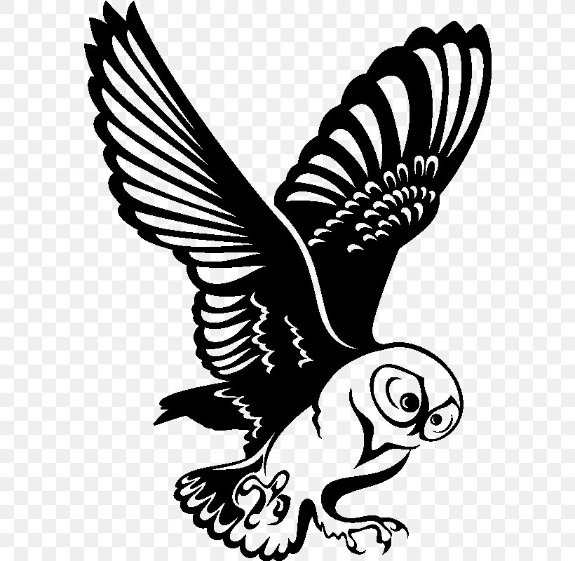 Little Owl Hawk Feather Sticker, PNG, 800x800px, Owl, Beak, Bird, Bird Of Prey, Black And White Download Free