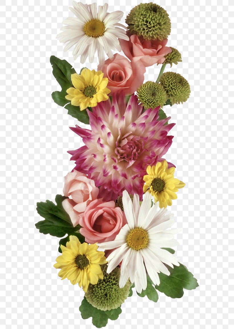 Transvaal Daisy Floral Design Cut Flowers Photography, PNG, 580x1155px, Transvaal Daisy, Albom, Album, Annual Plant, Author Download Free