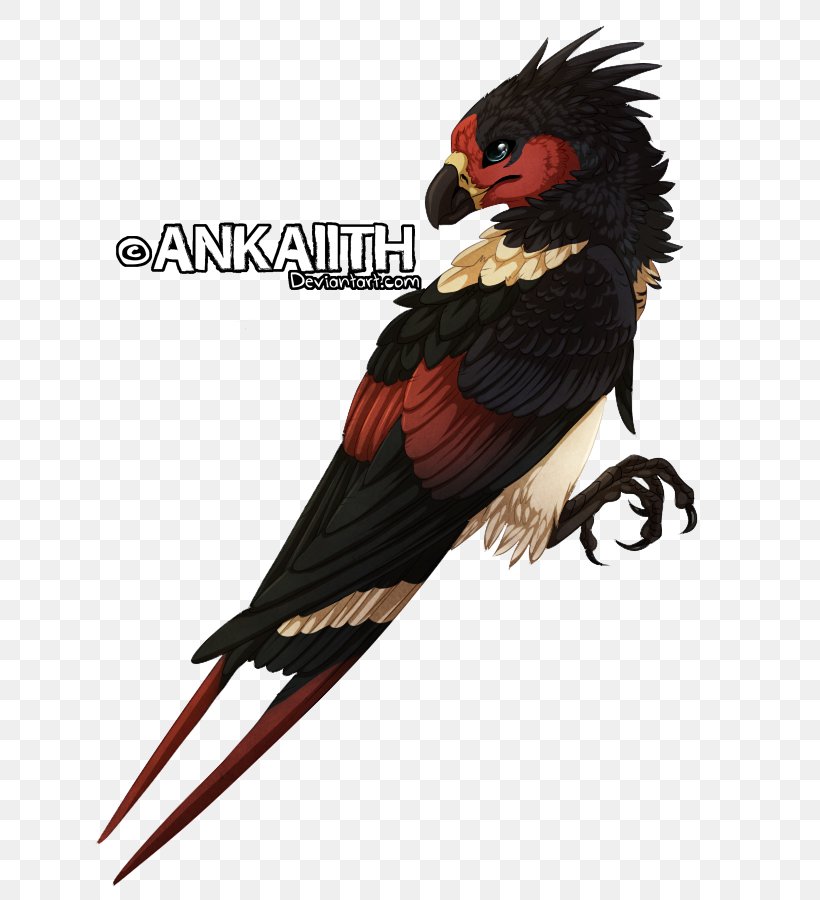 Work Of Art Macaw DeviantArt Artist, PNG, 650x900px, Art, Artist, Beak, Bird, Deviantart Download Free