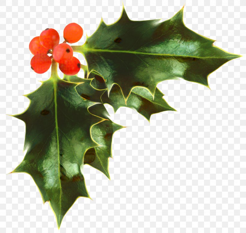Christmas Day Common Holly Image Transparency, PNG, 974x925px, Christmas Day, American Holly, Black Maple, Christmas Decoration, Common Holly Download Free
