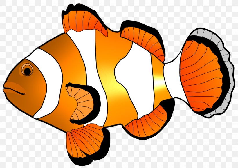 Fish Clip Art, PNG, 1123x794px, Fish, Blog, Clip Art, Clownfish, Drawing Download Free