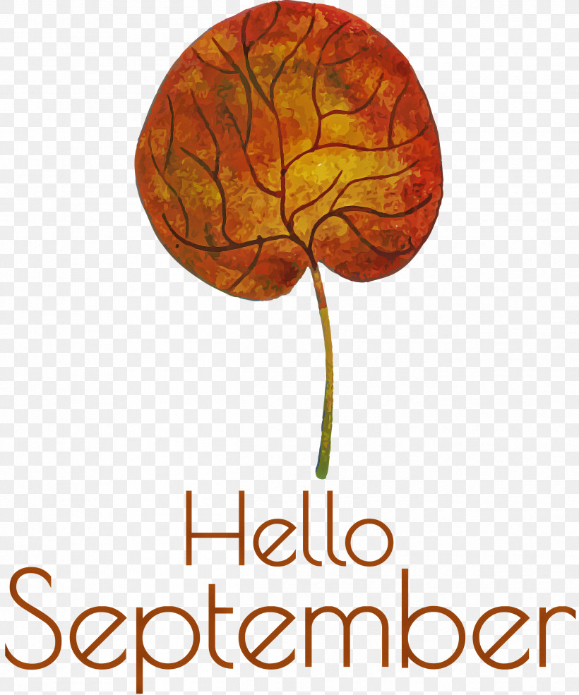 Hello September September, PNG, 2496x3000px, Hello September, Meter, September, Tree Download Free