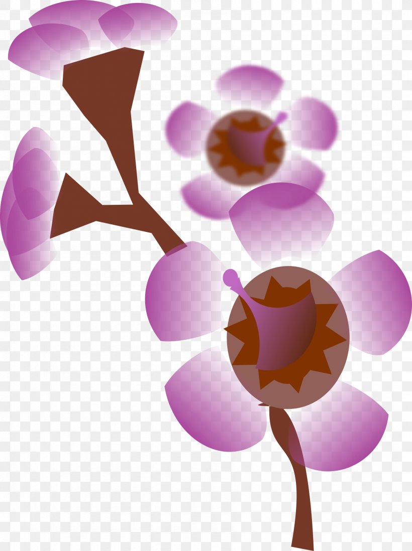 Petal Pink Flower Clip Art, PNG, 1791x2400px, Petal, Blossom, Branch, Color, Flora Download Free