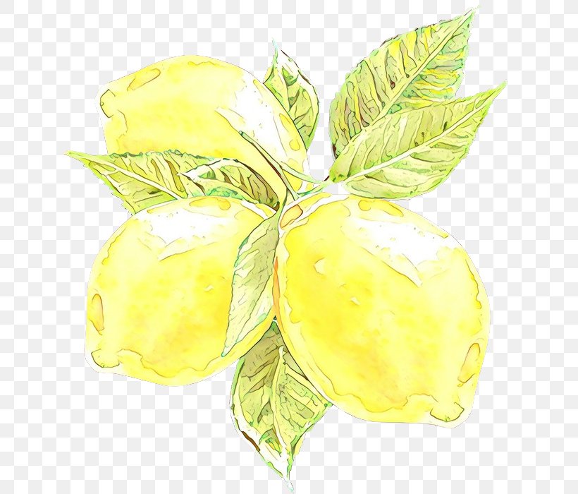 Yellow Leaf Plant Flower Flowering Plant, PNG, 651x700px, Cartoon, Flower, Flowering Plant, Fruit, Herbaceous Plant Download Free