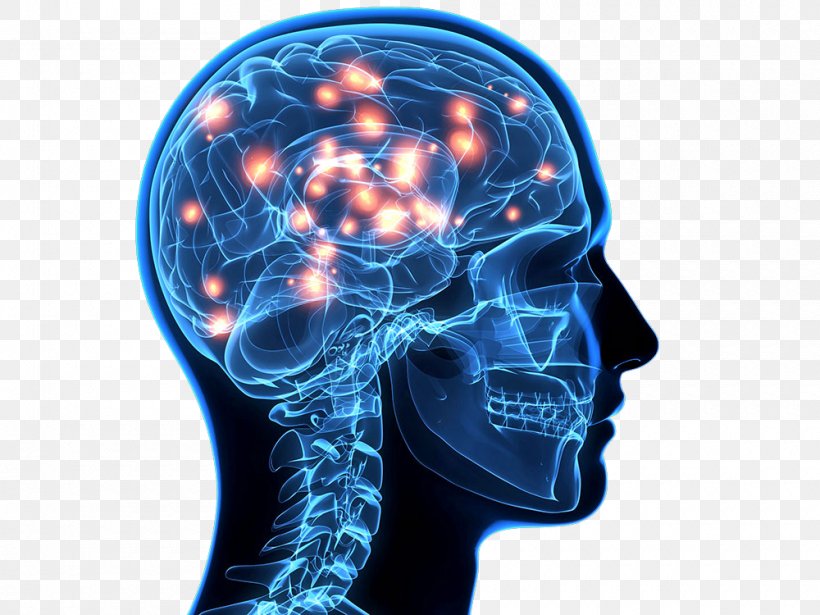 Blue Brain Project Human Brain Cognitive Training Neuron, PNG, 1000x750px, Watercolor, Cartoon, Flower, Frame, Heart Download Free