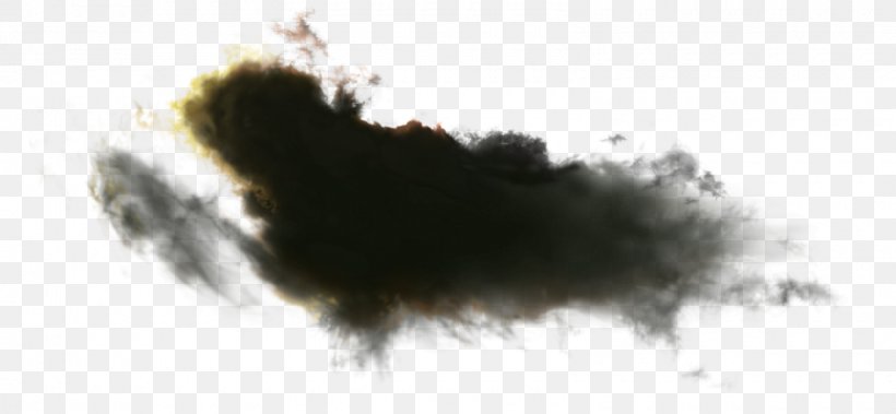 Cloud PhotoScape Clip Art, PNG, 1600x741px, Cloud, Carnivoran, Database, Digital Image, Dog Breed Group Download Free