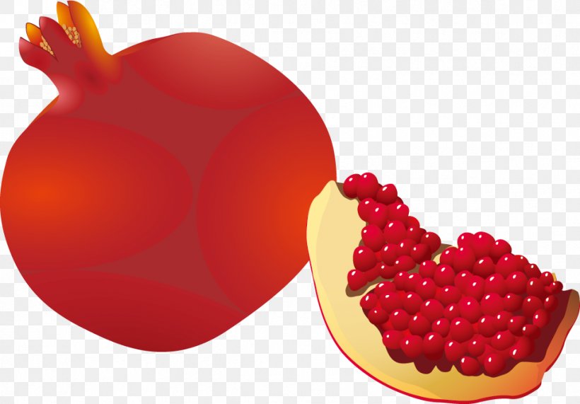 Cranberry Pomegranate Juice Fruit, PNG, 969x675px, Cranberry, Animaatio, Auglis, Berry, Drawing Download Free