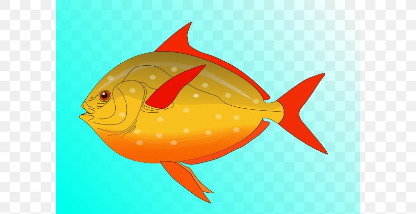 Freshwater Fish Clownfish Clip Art, PNG, 600x423px, Fish, Clownfish, Fauna, Fish Products, Fish Scale Download Free