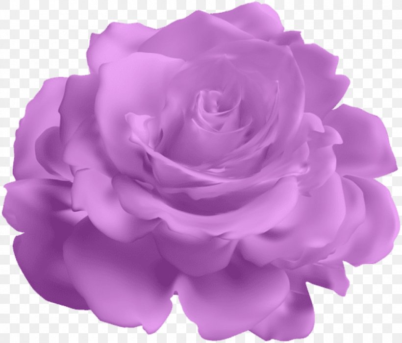 Garden Roses Purple Clip Art Blue Rose, PNG, 850x726px, Garden Roses, Artificial Flower, Blue, Blue Rose, Cabbage Rose Download Free