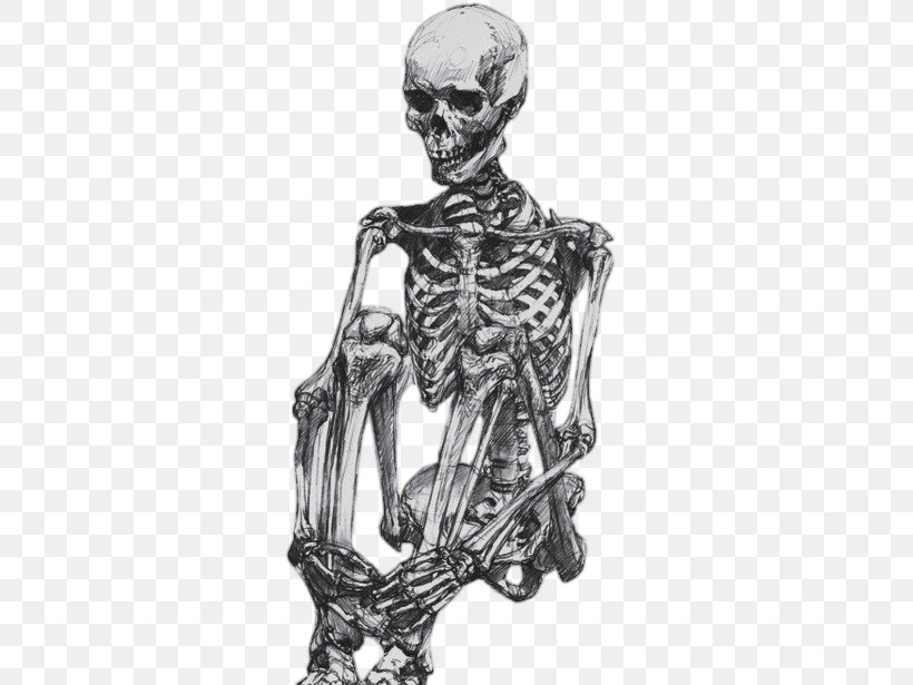 Human Skeleton Drawing Human Body Sketch, PNG, 431x615px, Human Skeleton, Anatomy, Arm, Art, Artist Download Free