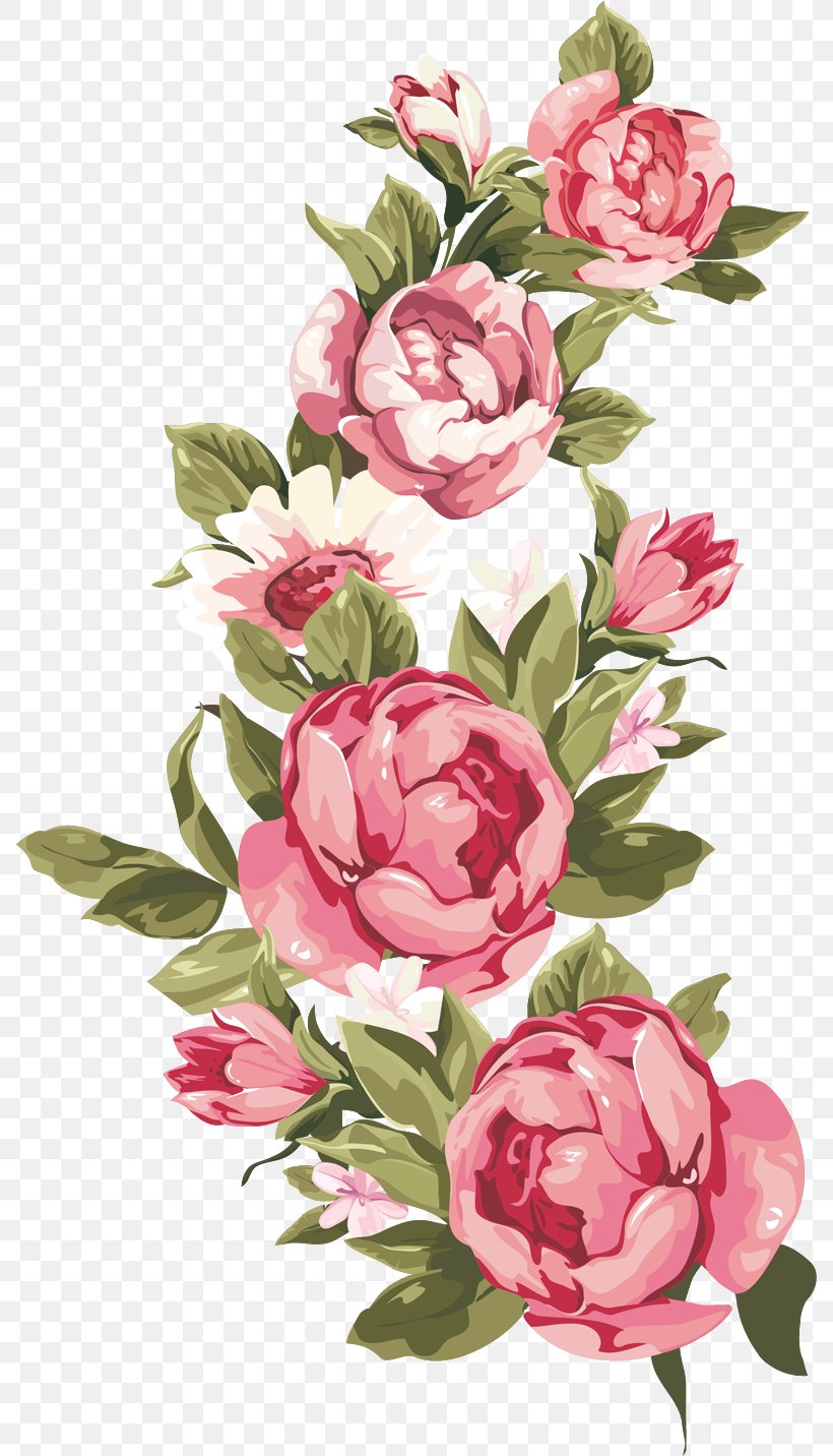 Picture Frames Flower Borders And Frames Clip Art, PNG, 788x1432px, Picture Frames, Borders And Frames, Cut Flowers, Floral Design, Floristry Download Free