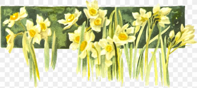 Stock Photography Clip Art, PNG, 2400x1072px, Stock Photography, Alamy, Daffodil, Flower, Flowering Plant Download Free