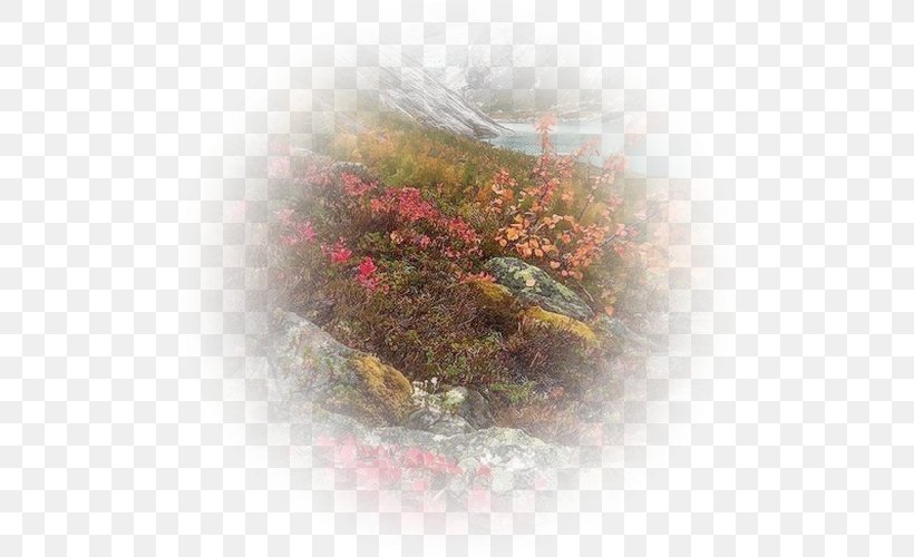 Background Sky, PNG, 500x500px, Computer, Flower, Landscape, Leaf, Plant Download Free
