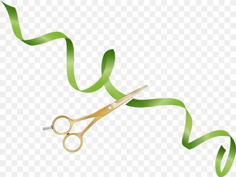 Plant Stem Font Line Lawn Plants, PNG, 3337x2515px, Scissors Ribbons, Biology, Grand Opening, Lawn, Line Download Free