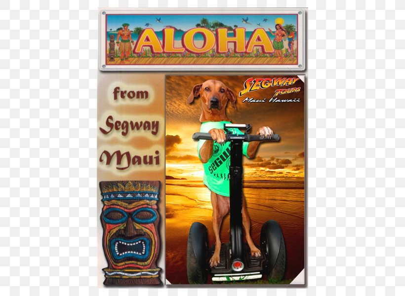 Segway Maui, PNG, 600x600px, Segway Pt, Advertising, Discounts And Allowances, Gift, Gift Card Download Free
