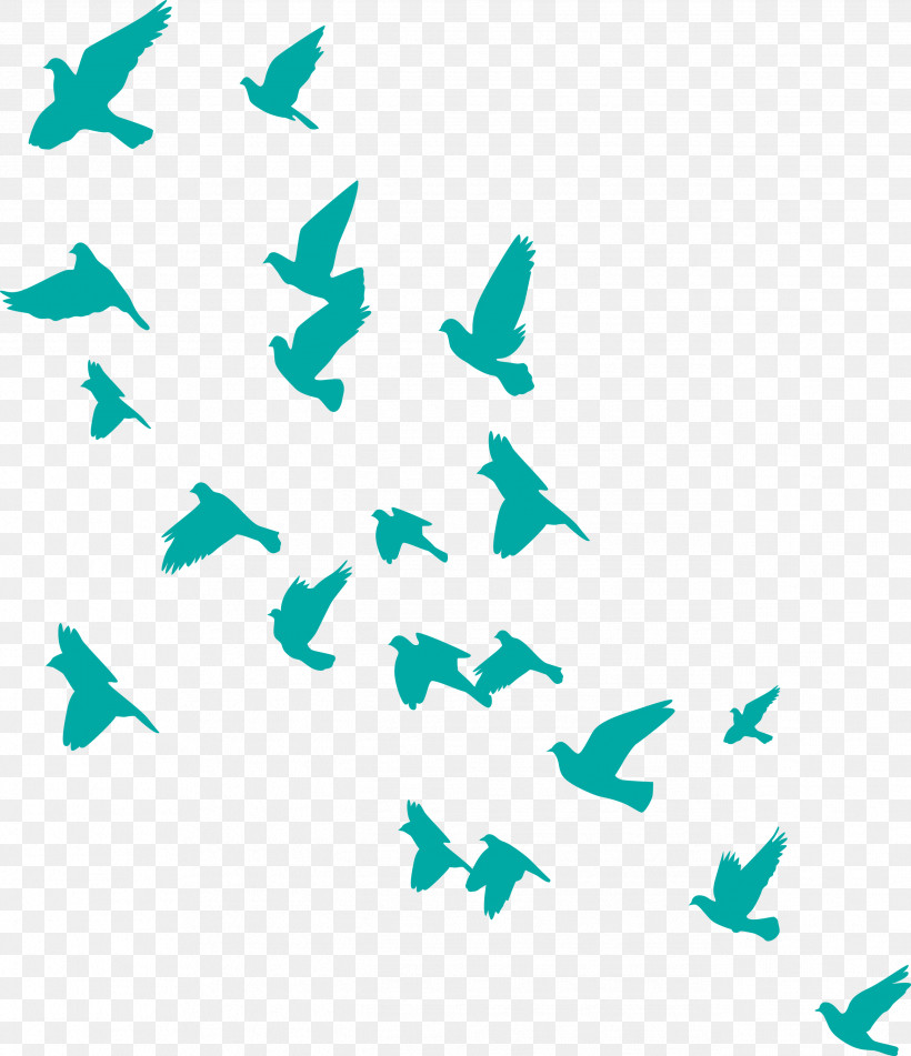 Flying Birds Background, PNG, 2586x3000px, Flying Birds Background, Biology, Leaf, Line, Meter Download Free