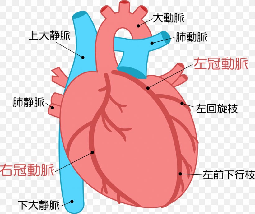 Heart Acute Myocardial Infarction Cardiology Disease, PNG, 1000x840px, Watercolor, Cartoon, Flower, Frame, Heart Download Free