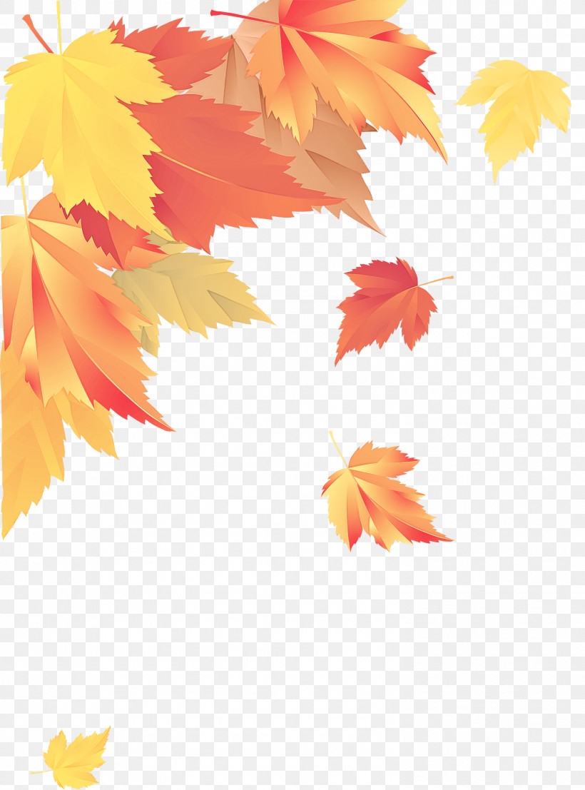 Maple Leaf, PNG, 1481x2000px, Leaf, Autumn, Black Maple, Deciduous, Maple Download Free