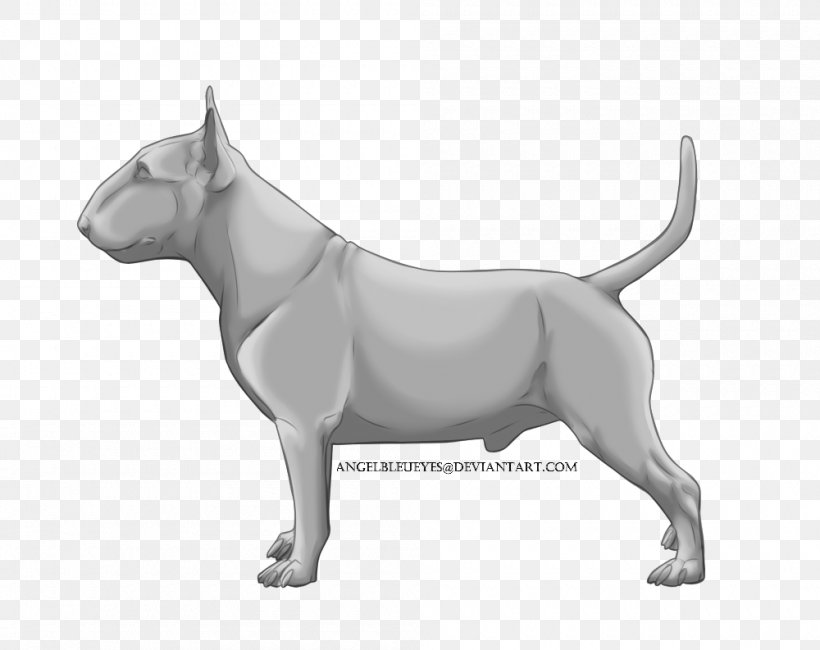 Miniature Bull Terrier Bull And Terrier Old English Terrier Dog Breed, PNG, 1000x793px, Bull Terrier, Breed, Bull, Bull And Terrier, Bull Terrier Miniature Download Free