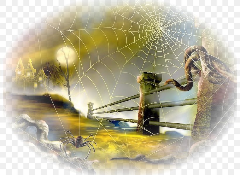 Spider Web Halloween Desktop Wallpaper, PNG, 800x600px, 31 October, Spider, Costume, Halloween, Halloween Costume Download Free