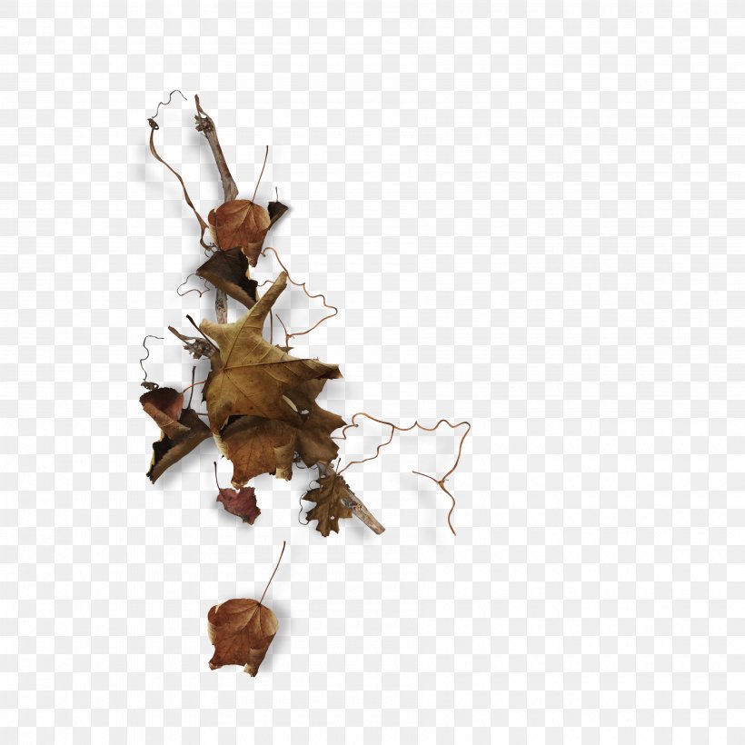 Twig Leaf Image Branch, PNG, 3600x3600px, Twig, Art, Branch, Leaf, Organism Download Free