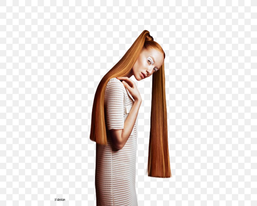 Brown Hair Hair Coloring Long Hair Female, PNG, 500x658px, Watercolor, Cartoon, Flower, Frame, Heart Download Free