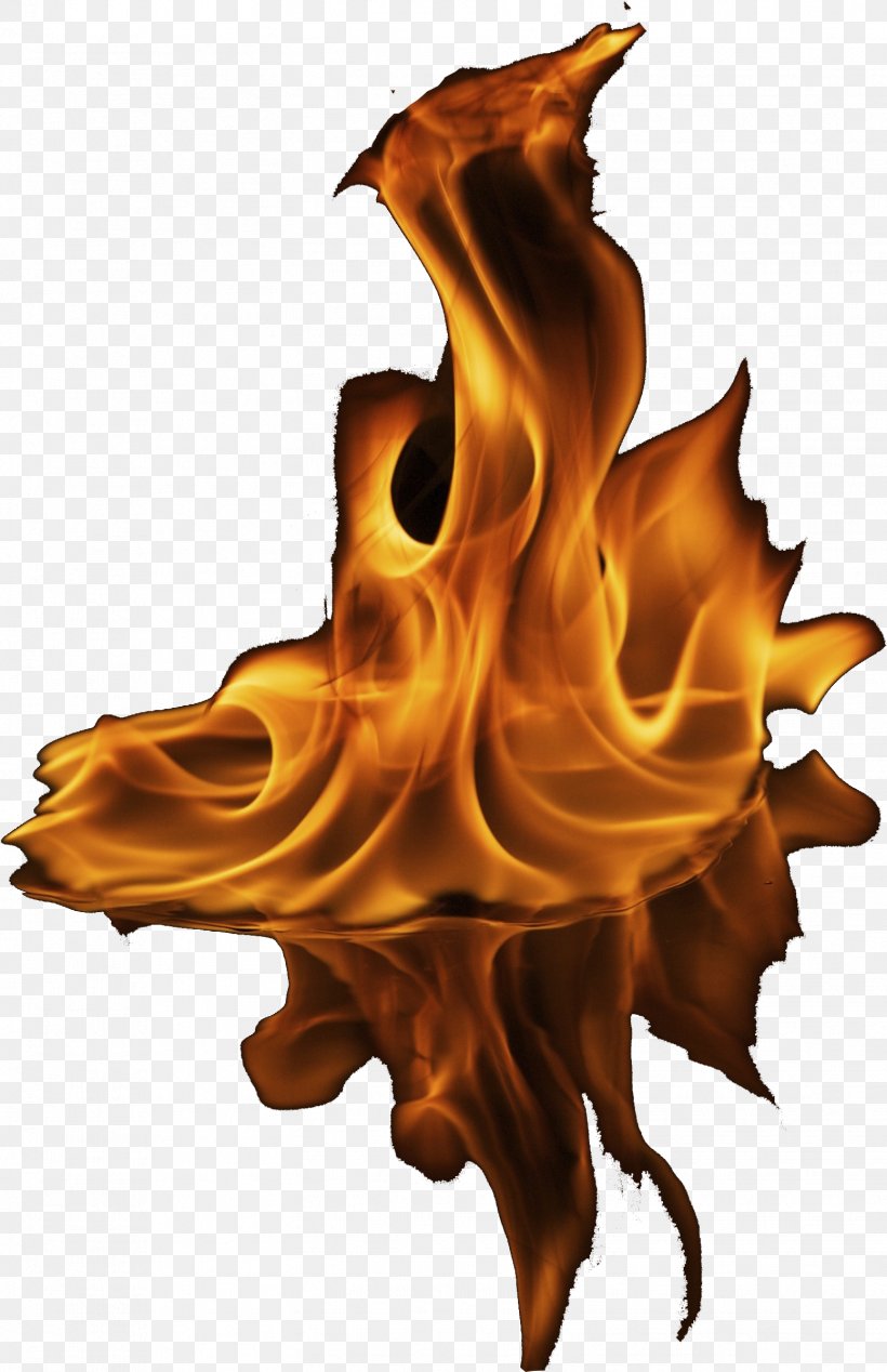 Dragon Fire, PNG, 1553x2402px, Drawing, Air Brushes, Dragon, Fire, Fire Alarm System Download Free