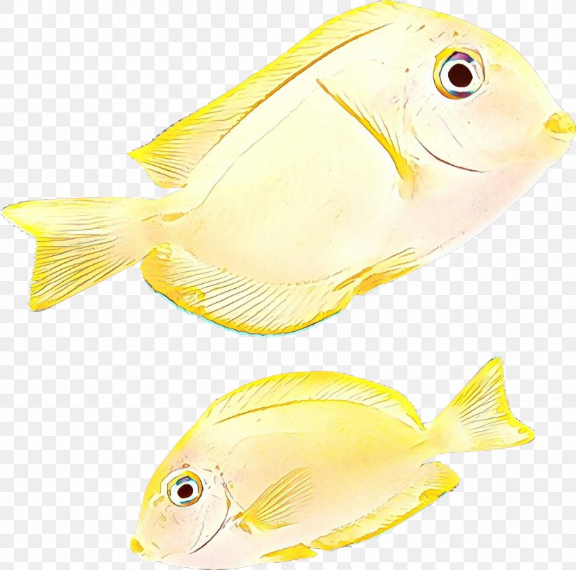 Fish Fish Yellow Butterflyfish Pomacentridae, PNG, 1767x1749px, Cartoon, Bonyfish, Butterflyfish, Fin, Fish Download Free
