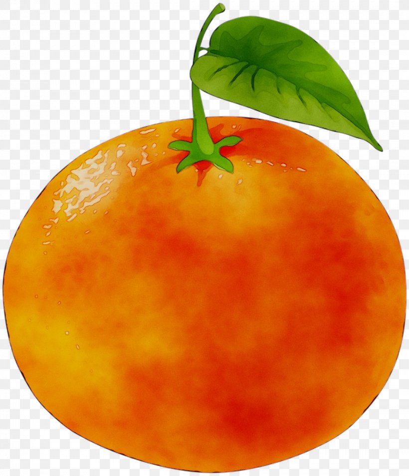 Tangerine Mandarin Orange Grapefruit Food, PNG, 1107x1289px, Tangerine, Accessory Fruit, Apple, Drupe, Food Download Free