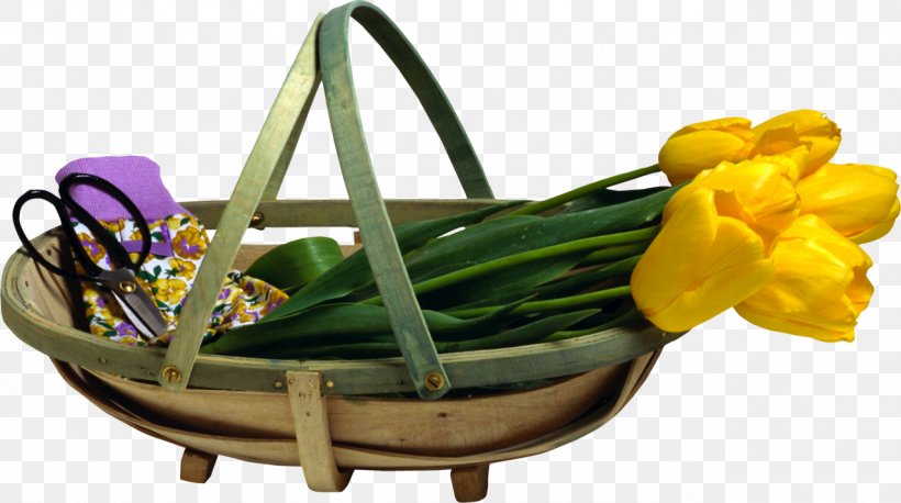 Tulip Flower Clip Art, PNG, 1280x716px, Tulip, Basket, Common Sunflower, Digital Image, Floral Design Download Free