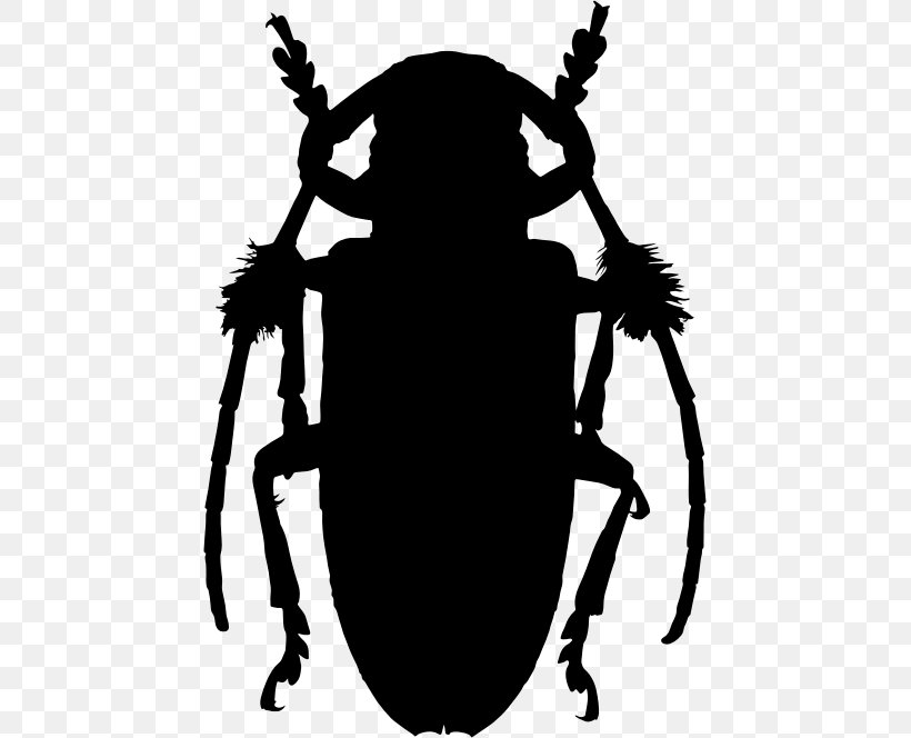 Beetle Aristobia Approximator Lamiinae Clip Art, PNG, 453x664px, Beetle, Antenna, Artwork, Black And White, Drawing Download Free