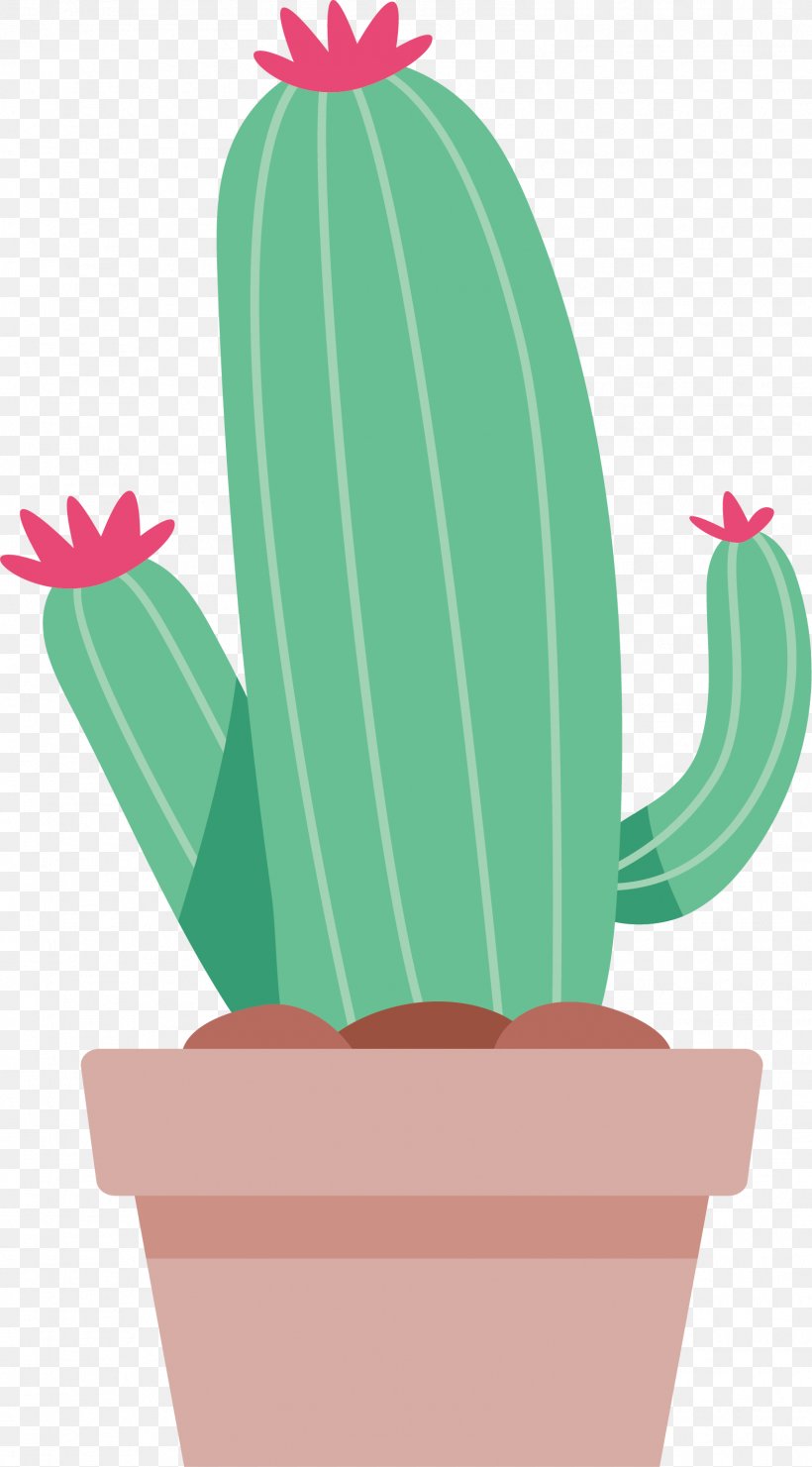 Cactaceae Euclidean Vector Clip Art, PNG, 1579x2852px, Cactaceae, Cactus, Caryophyllales, Drawing, Flowering Plant Download Free