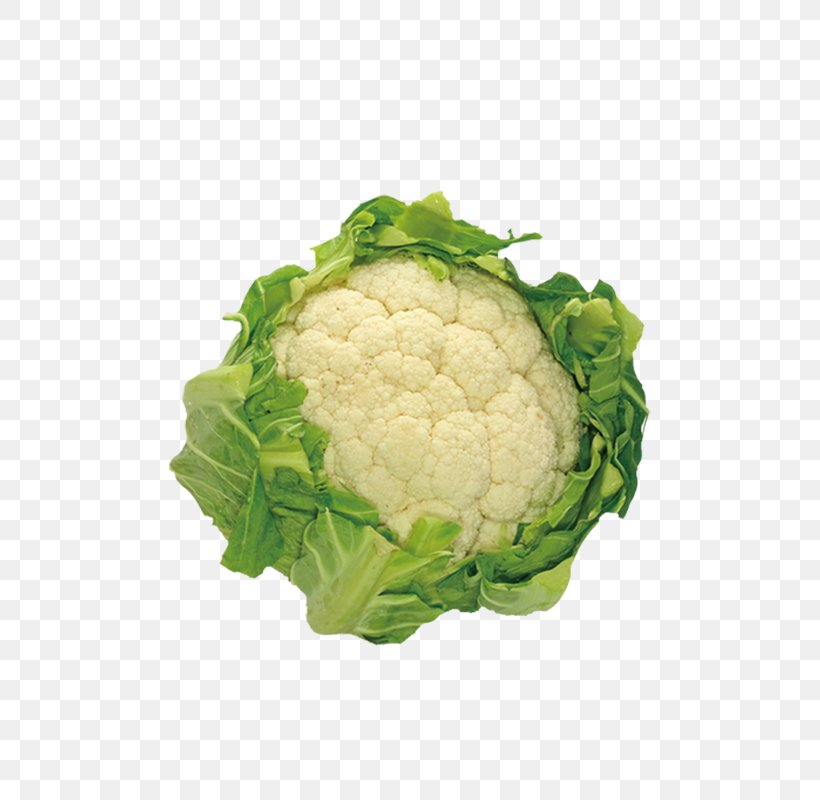 Cauliflower Cabbage Broccoli Vegetable Kale, PNG, 800x800px, Cauliflower, Brassica Oleracea, Broccoflower, Broccoli, Cabbage Download Free