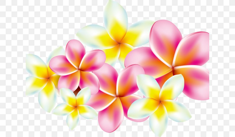 Flower Clip Art Red Frangipani Stock Photography, PNG, 640x480px, Flower, Floral Design, Flowering Plant, Frangipani, Petal Download Free