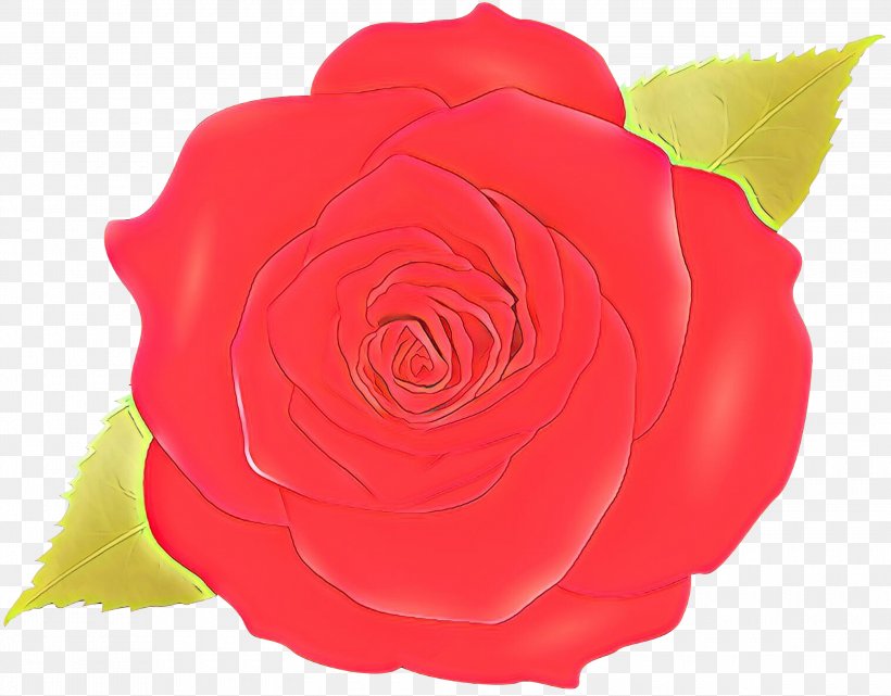Garden Roses, PNG, 3000x2347px, Cartoon, Floribunda, Flower, Garden Roses, Hybrid Tea Rose Download Free