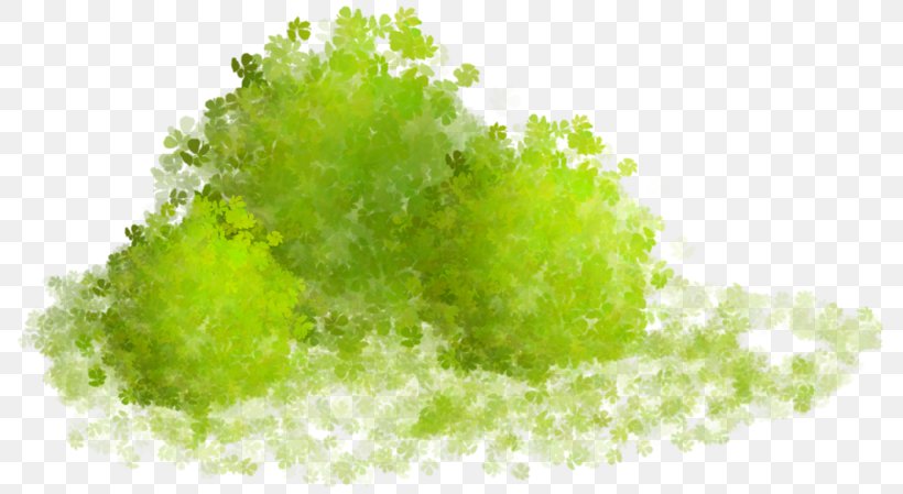 Clip Art Image Centerblog, PNG, 800x449px, Blog, Centerblog, Digital Image, Drawing, Grass Download Free