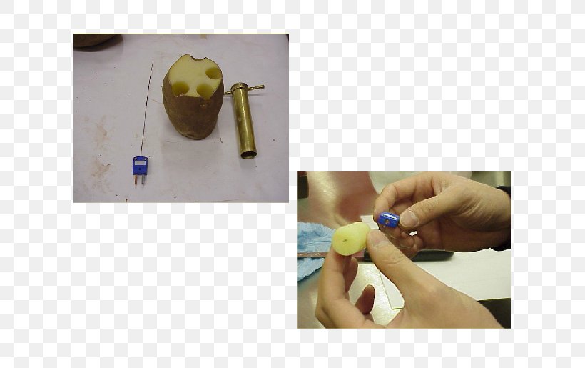 Potato Food Laboratory Cork Borer Experiment, PNG, 616x515px, Potato, Cork, Cork Borer, Cylinder, Exercise Download Free