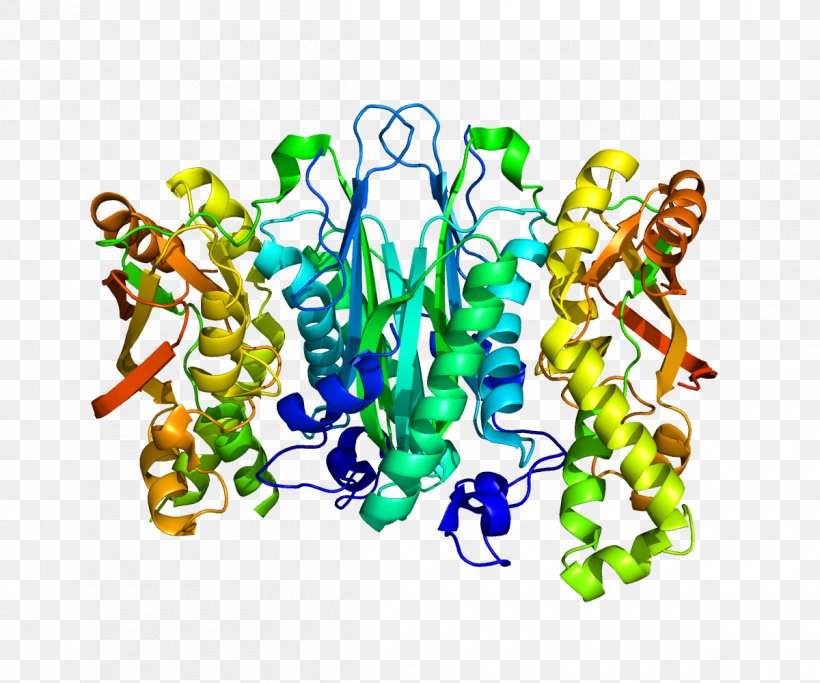 Selenophosphate Synthetase 1 Selenide, Water Dikinase Selenoprotein Selenocysteine Gene, PNG, 1200x1000px, Watercolor, Cartoon, Flower, Frame, Heart Download Free