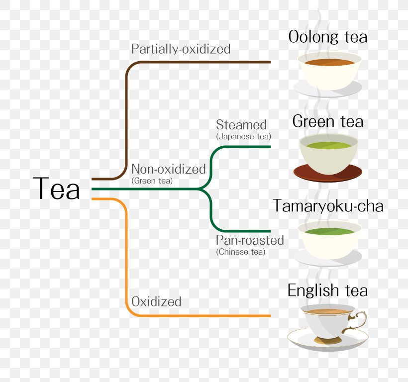 Japanese Cuisine Green Tea Gyokuro Oolong, PNG, 768x768px, Japanese Cuisine, Chinese Cuisine, Chinese Tea, Coffee Cup, Cuisine Download Free