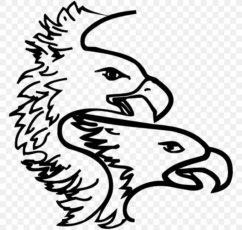 Clip Art Bald Eagle Bird Beak, PNG, 768x778px, Bald Eagle, Accipitriformes, Beak, Bird, Bird Of Prey Download Free