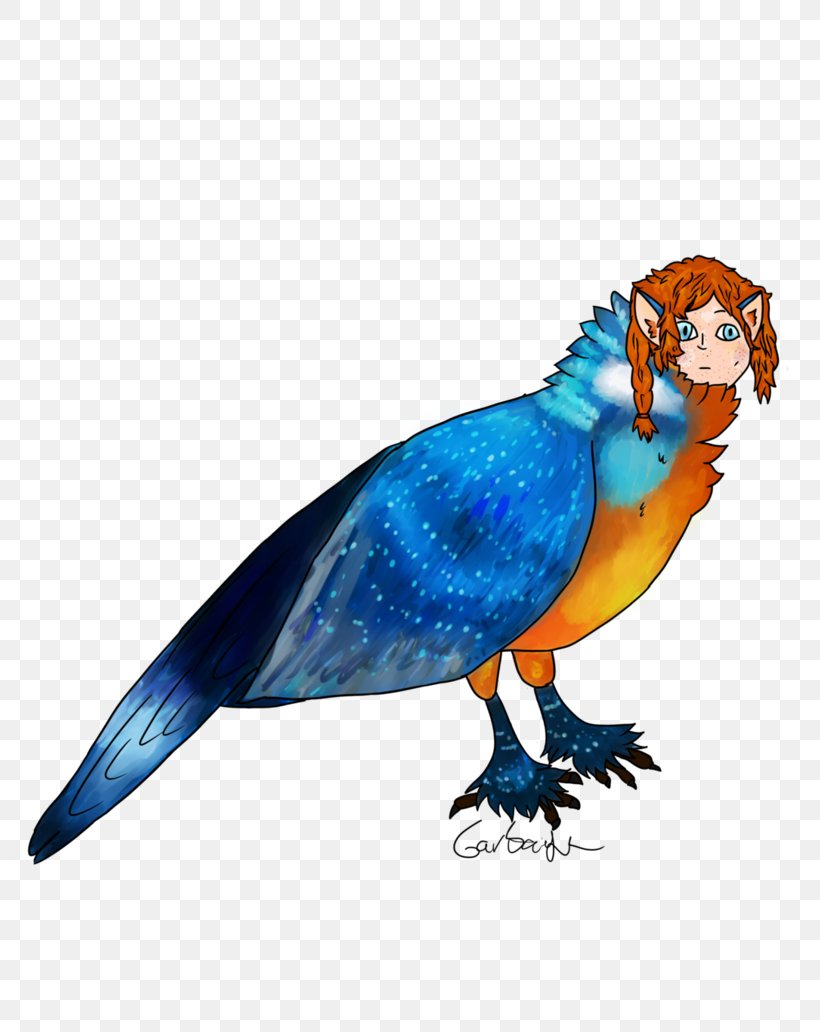 Parrot Bird Macaw Pet Feather, PNG, 774x1032px, Parrot, Animal, Beak, Bird, Blue Download Free