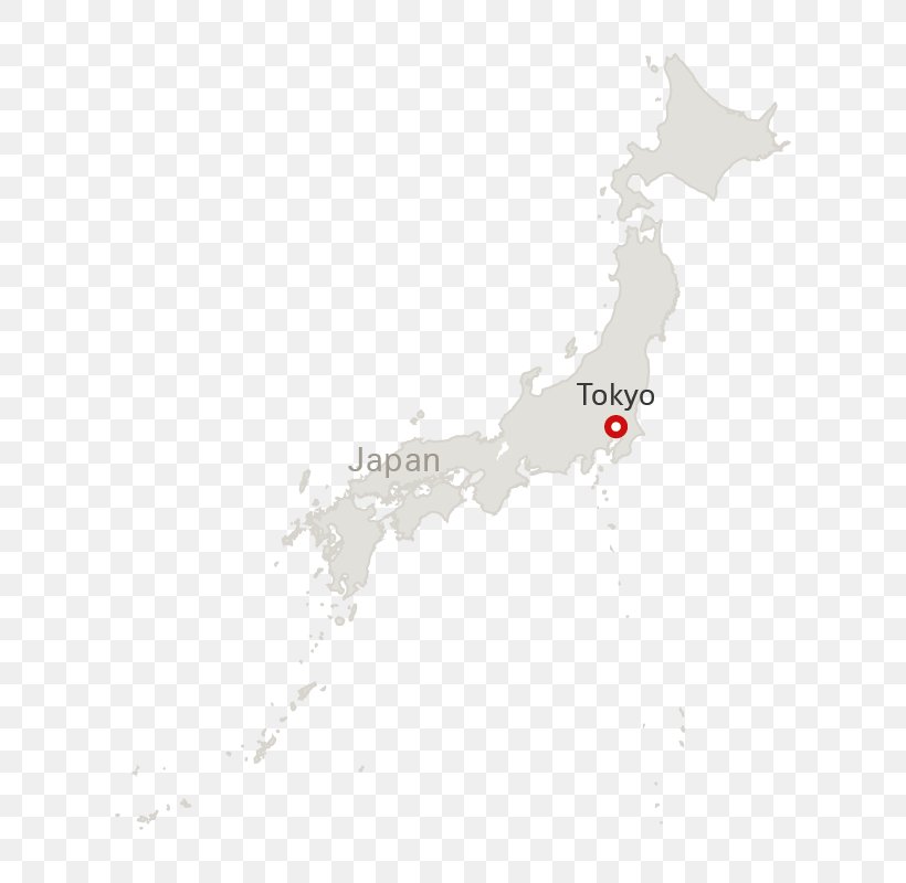 Tokyo Narita International Airport Switzerland Map Swiss International Air Lines, PNG, 620x800px, Tokyo, Democracy, Japan, Map, Narita International Airport Download Free