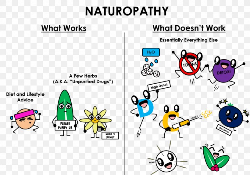 Naturopathy Bastyr University Medicine Alternative Health Services Homeopathy, PNG, 1024x716px, Naturopathy, Alternative Health Services, Area, Art, Bastyr University Download Free